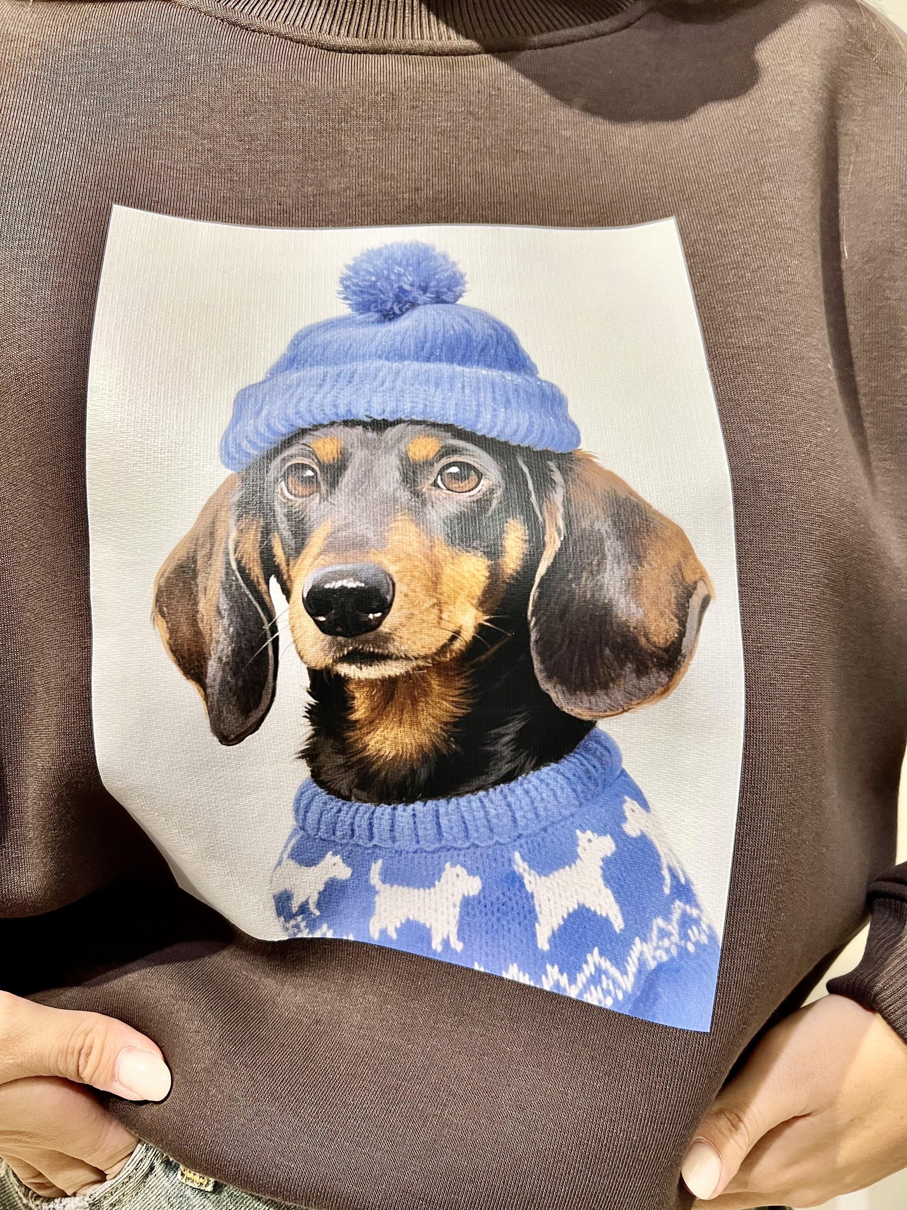 felpa con stampa cani vicolo RF0594MARRONE VICOLO